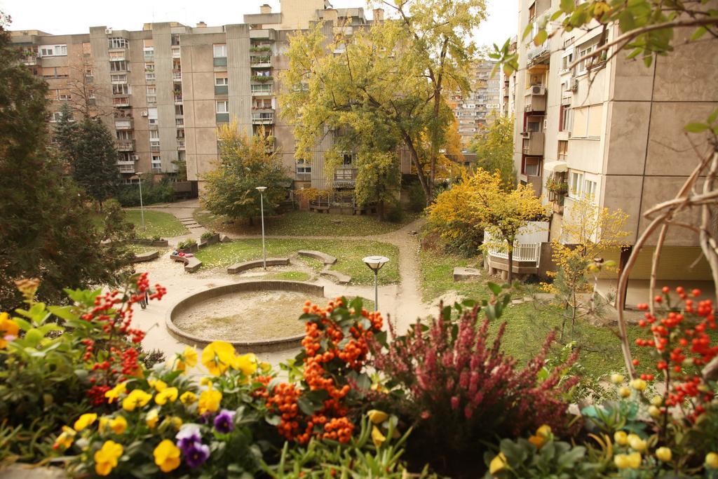 Apartment Spacious Liman Новий Сад Екстер'єр фото